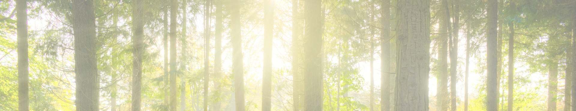 forest-blass-klein